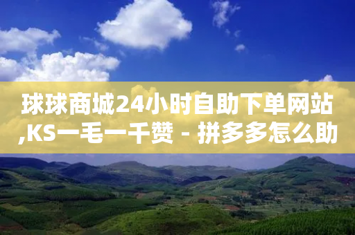 球球商城24小时自助下单网站,KS一毛一千赞 - 拼多多怎么助力成功 - 流量主下单自助