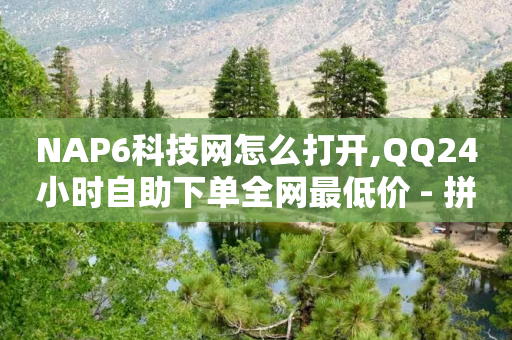 NAP6科技网怎么打开,QQ24小时自助下单全网最低价 - 拼多多互助 - 助力平台哪个平台最好-第1张图片-靖非智能科技传媒