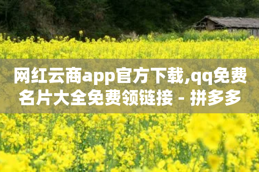 网红云商app官方下载,qq免费名片大全免费领链接 - 拼多多刷助力网站新用户真人 - 小刀拼多多-第1张图片-靖非智能科技传媒