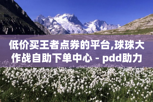 低价买王者点券的平台,球球大作战自助下单中心 - pdd助力平台网站 - 700要多少人才能提现-第1张图片-靖非智能科技传媒