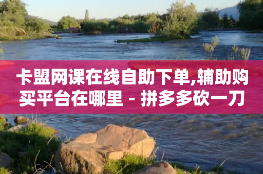 卡盟网课在线自助下单,辅助购买平台在哪里 - 拼多多砍一刀网站 - 拼多多商家版官方版