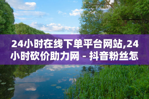 24小时在线下单平台网站,24小时砍价助力网 - 抖音粉丝怎么快速增长 - 快手业务自助全网最低价-第1张图片-靖非智能科技传媒