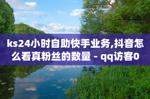 ks24小时自助快手业务,抖音怎么看真粉丝的数量 - qq访客0浏览量1什么意思 - 全网下单业务-第1张图片-靖非智能科技传媒