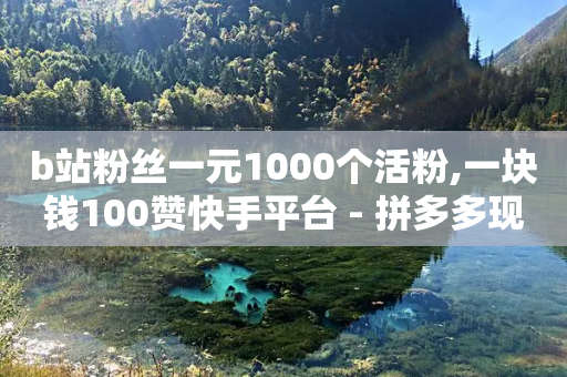 b站粉丝一元1000个活粉,一块钱100赞快手平台 - 拼多多现金大转盘咋才能成功 - 拼多多批量怎么下单方便-第1张图片-靖非智能科技传媒