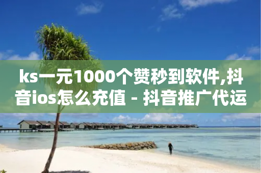 ks一元1000个赞秒到软件,抖音ios怎么充值 - 抖音推广代运营 - 抖音1到75级价格表一览-第1张图片-靖非智能科技传媒