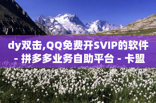 dy双击,QQ免费开SVIP的软件 - 拼多多业务自助平台 - 卡盟自助下单24小时q币充值-第1张图片-靖非智能科技传媒