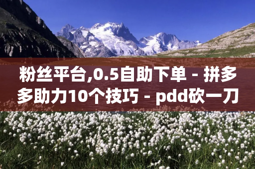 粉丝平台,0.5自助下单 - 拼多多助力10个技巧 - pdd砍一刀会不会