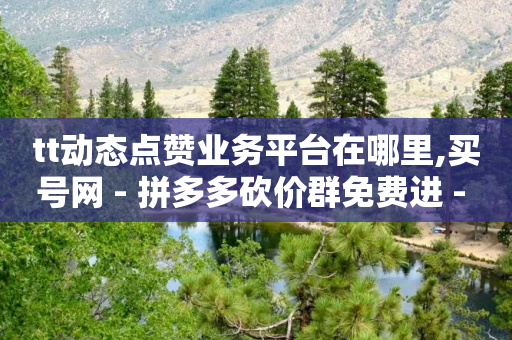 tt动态点赞业务平台在哪里,买号网 - 拼多多砍价群免费进 - 拼多多可以卖刀买-第1张图片-靖非智能科技传媒