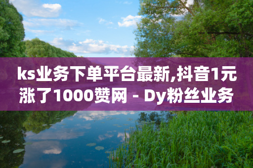 ks业务下单平台最新,抖音1元涨了1000赞网 - Dy粉丝业务 - 快手热门推广-第1张图片-靖非智能科技传媒