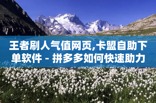 王者刷人气值网页,卡盟自助下单软件 - 拼多多如何快速助力成功 - 拼多多怎么解除快捷支付签约