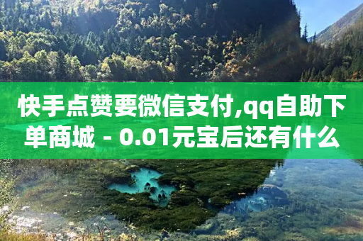 快手点赞要微信支付,qq自助下单商城 - 0.01元宝后还有什么套路 - 想做拼多多客服在哪申请-第1张图片-靖非智能科技传媒