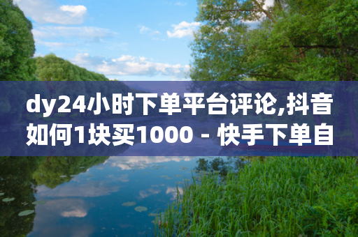 dy24小时下单平台评论,抖音如何1块买1000 - 快手下单自助 - 快手业务网站