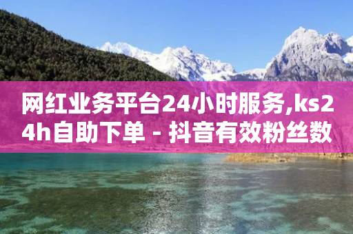 网红业务平台24小时服务,ks24h自助下单 - 抖音有效粉丝数每天几点更新 - 抖音1到70级价格表-第1张图片-靖非智能科技传媒