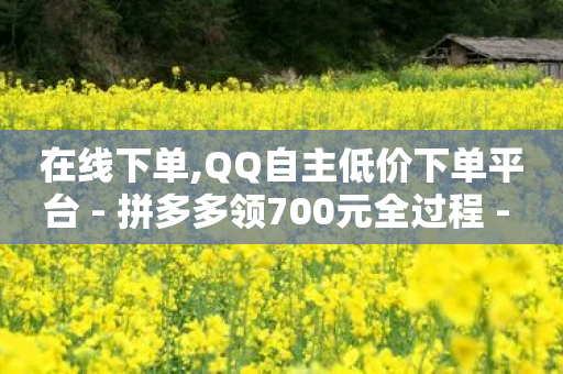 在线下单,QQ自主低价下单平台 - 拼多多领700元全过程 - 拼多多客户服务平台-第1张图片-靖非智能科技传媒