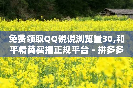 免费领取QQ说说浏览量30,和平精英买挂正规平台 - 拼多多买刀助力 - 拼多多助力网站真假-第1张图片-靖非智能科技传媒