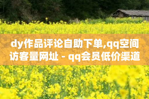 dy作品评论自助下单,qq空间访客量网址 - qq会员低价渠道 - ks打call能不能刷-第1张图片-靖非智能科技传媒