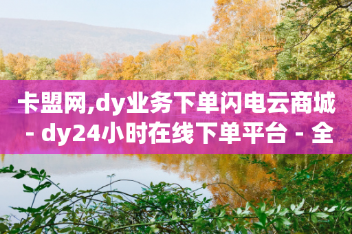 卡盟网,dy业务下单闪电云商城 - dy24小时在线下单平台 - 全网最低价卡网