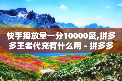 快手播放量一分10000赞,拼多多王者代充有什么用 - 拼多多助力网站便宜 - 拼多多助力大概多少步-第1张图片-靖非智能科技传媒