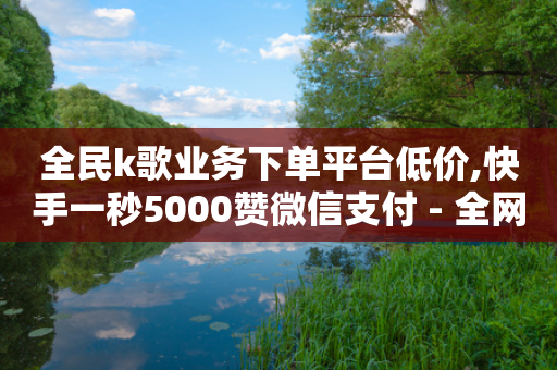 全民k歌业务下单平台低价,快手一秒5000赞微信支付 - 全网低价自助平台 - 抖音业务代理平台-第1张图片-靖非智能科技传媒