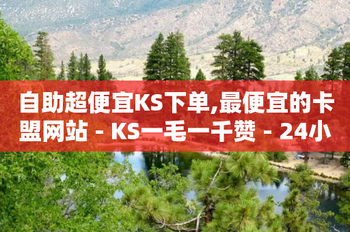 自助超便宜KS下单,最便宜的卡盟网站 - KS一毛一千赞 - 24小时播放量平台