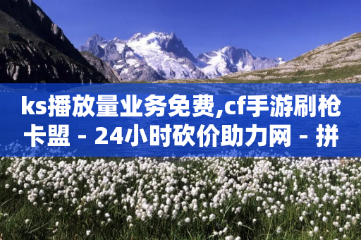 ks播放量业务免费,cf手游刷枪卡盟 - 24小时砍价助力网 - 拼多多商家被薅羊毛怎么办