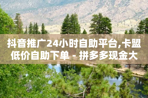 抖音推广24小时自助平台,卡盟低价自助下单 - 拼多多现金大转盘助力 - 拼多多50元兑换卡后面还有啥