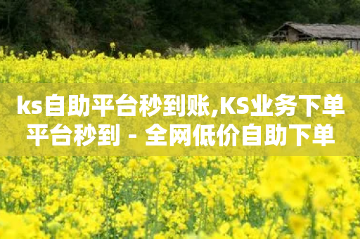 ks自助平台秒到账,KS业务下单平台秒到 - 全网低价自助下单24小时下单 - 24小时免费快手免费涨1w