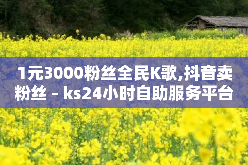 1元3000粉丝全民K歌,抖音卖粉丝 - ks24小时自助服务平台便宜 - 抖音业务下单24小时个个位数-第1张图片-靖非智能科技传媒