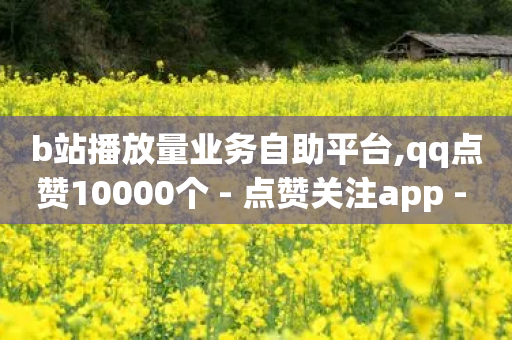 b站播放量业务自助平台,qq点赞10000个 - 点赞关注app - qq空间点赞 购买网站DNS商城