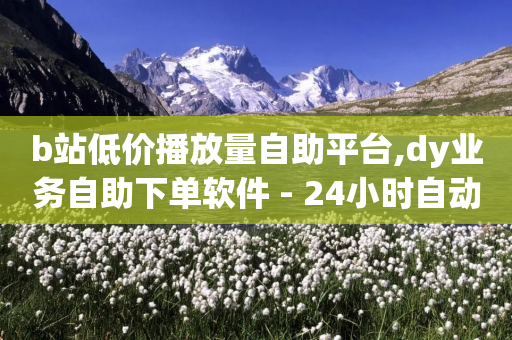 b站低价播放量自助平台,dy业务自助下单软件 - 24小时自动发卡网站 - q赞助手最新版下载