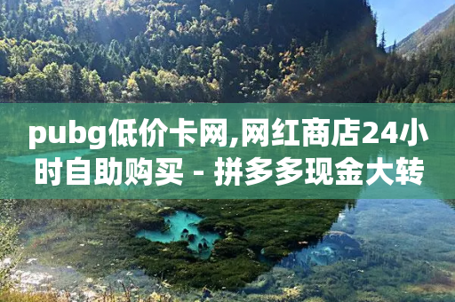 pubg低价卡网,网红商店24小时自助购买 - 拼多多现金大转盘助力50元 - 在拼多多进货在超市卖-第1张图片-靖非智能科技传媒