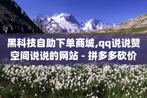 黑科技自助下单商城,qq说说赞空间说说的网站 - 拼多多砍价助力 - 十元刀-第1张图片-靖非智能科技传媒