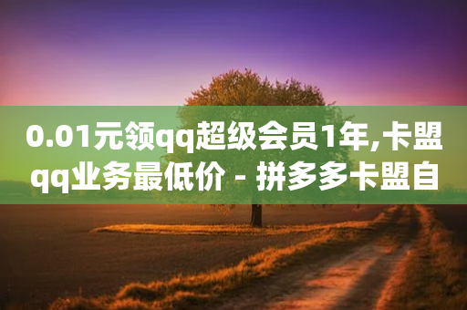 0.01元领qq超级会员1年,卡盟qq业务最低价 - 拼多多卡盟自助下单服务 - 拼多多推金币欺骗消费者