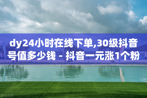 dy24小时在线下单,30级抖音号值多少钱 - 抖音一元涨1个粉 - qq互联平台官网-第1张图片-靖非智能科技传媒