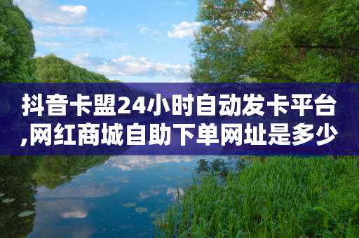 抖音卡盟24小时自动发卡平台,网红商城自助下单网址是多少 - 刷会员最稳定的卡盟 - Ks24小时秒单业务平台低价