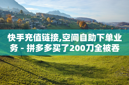 快手充值链接,空间自助下单业务 - 拼多多买了200刀全被吞了 - 商家砍价是正规的吗-第1张图片-靖非智能科技传媒