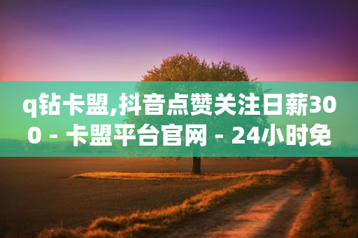 q钻卡盟,抖音点赞关注日薪300 - 卡盟平台官网 - 24小时免费快手免费涨1w-第1张图片-靖非智能科技传媒