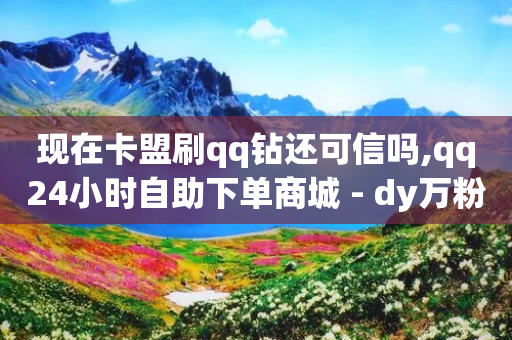 现在卡盟刷qq钻还可信吗,qq24小时自助下单商城 - dy万粉 - 超低价qq业务商城