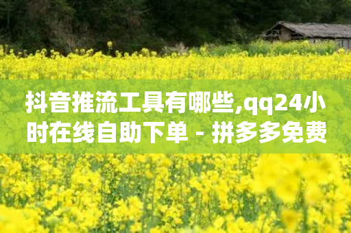 抖音推流工具有哪些,qq24小时在线自助下单 - 拼多多免费助力网站入口 - 拼多多抽奖挂-第1张图片-靖非智能科技传媒