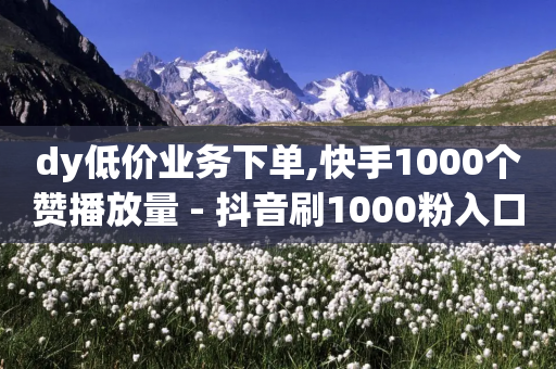 dy低价业务下单,快手1000个赞播放量 - 抖音刷1000粉入口 - ks业务专区云店商城-第1张图片-靖非智能科技传媒