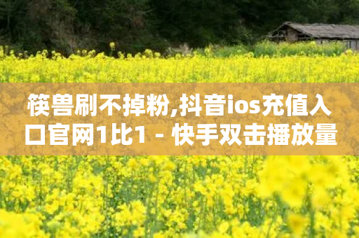 筷兽刷不掉粉,抖音ios充值入口官网1比1 - 快手双击播放量网站下单微信 - 全网最低价业务平台