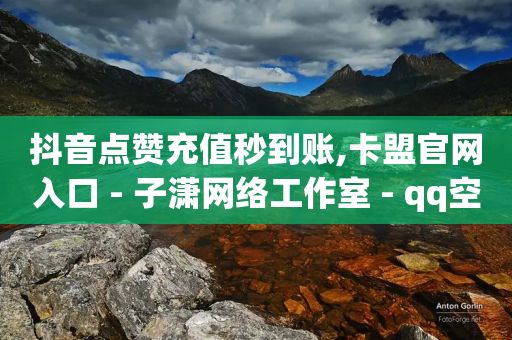 抖音点赞充值秒到账,卡盟官网入口 - 子潇网络工作室 - qq空间访客量10000