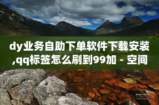 dy业务自助下单软件下载安装,qq标签怎么刷到99加 - 空间赞 - 快手在线自助业务平台-第1张图片-靖非智能科技传媒