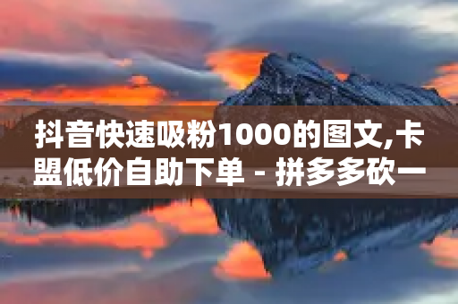 抖音快速吸粉1000的图文,卡盟低价自助下单 - 拼多多砍一刀网站 - 拼多多砍一刀助力在哪里找