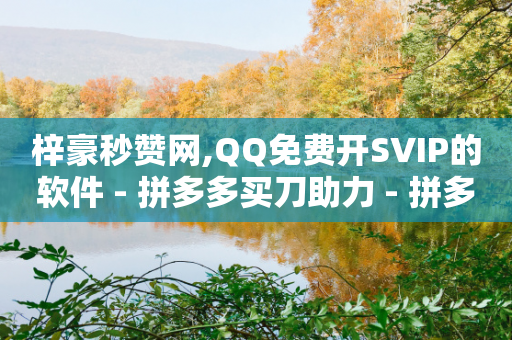 梓豪秒赞网,QQ免费开SVIP的软件 - 拼多多买刀助力 - 拼多多新人助力享免单