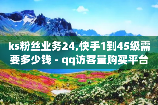 ks粉丝业务24,快手1到45级需要多少钱 - qq访客量购买平台 - dy免费24小时下单平台-第1张图片-靖非智能科技传媒