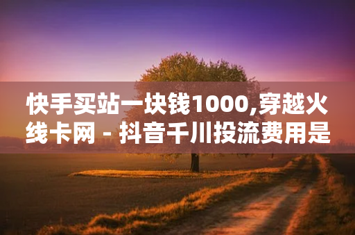 快手买站一块钱1000,穿越火线卡网 - 抖音千川投流费用是多少钱 - 黑科技免费开户下载-第1张图片-靖非智能科技传媒