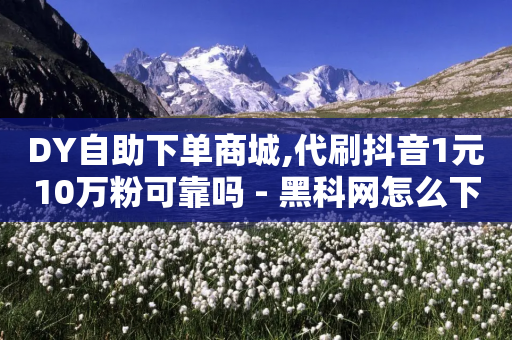 DY自助下单商城,代刷抖音1元10万粉可靠吗 - 黑科网怎么下载软件安装 - 穿越火线卡网