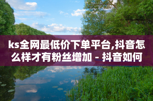 ks全网最低价下单平台,抖音怎么样才有粉丝增加 - 抖音如何快速涨500有效粉 - b站开手机直播-第1张图片-靖非智能科技传媒