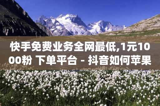 快手免费业务全网最低,1元1000粉 下单平台 - 抖音如何苹果1比10充值 - 24小时自助下单qq免费